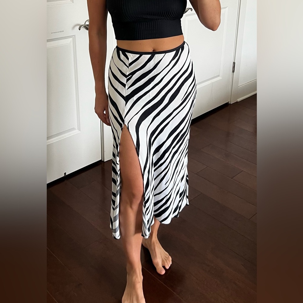 Zara Zebra Striped Satin Skirt